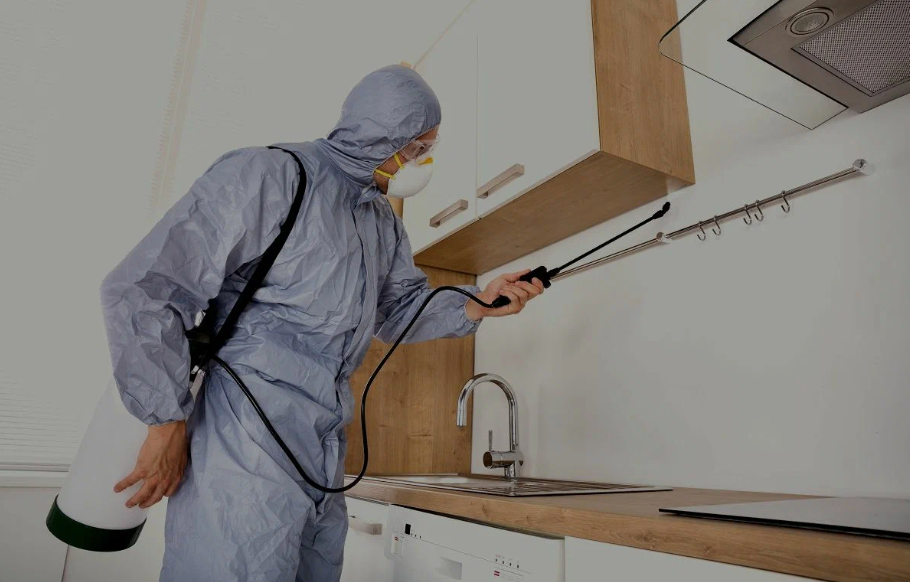 Prosper pest managment